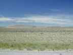 Nowhere